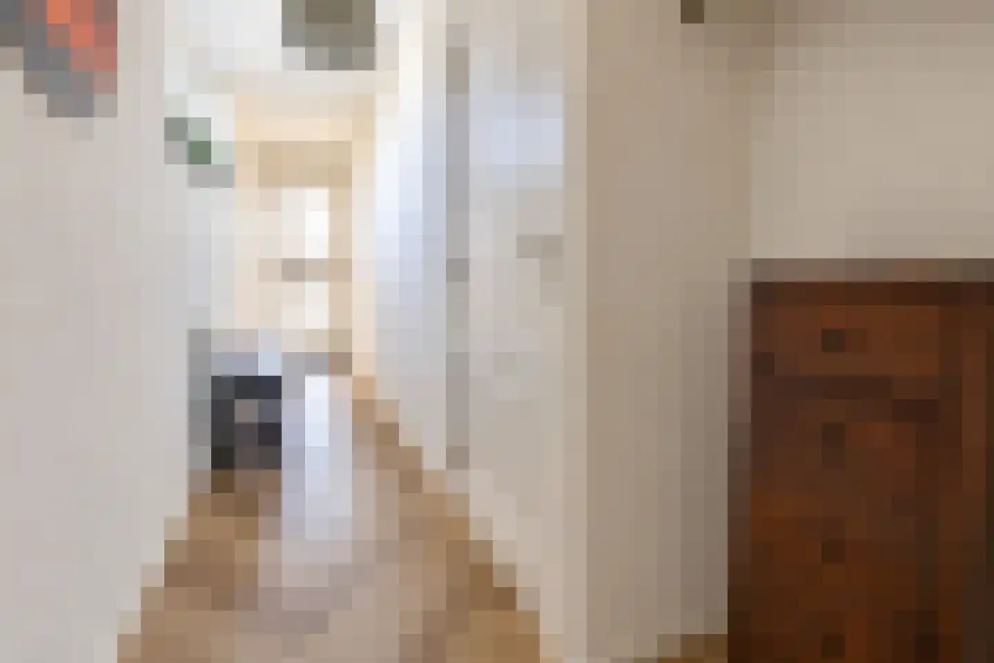 Munnikenweg 13 Schoorl thumbnail 36