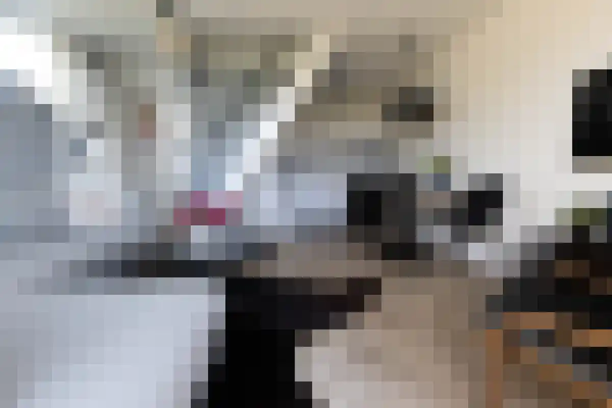 Munnikenweg 13 Schoorl thumbnail 38