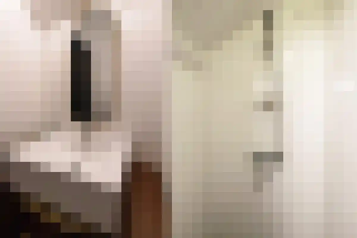 Munnikenweg 13 Schoorl thumbnail 41