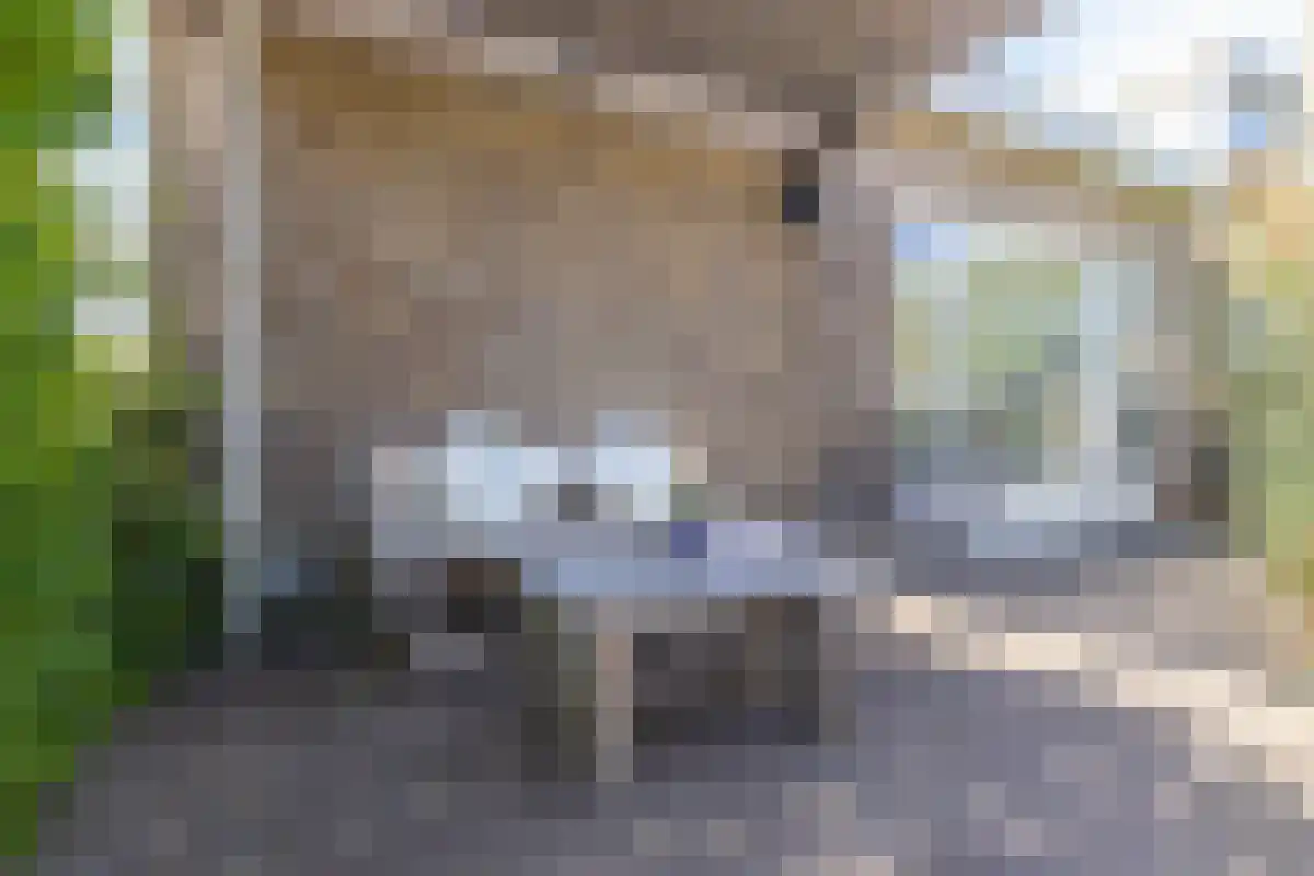 Munnikenweg 13 Schoorl thumbnail 48