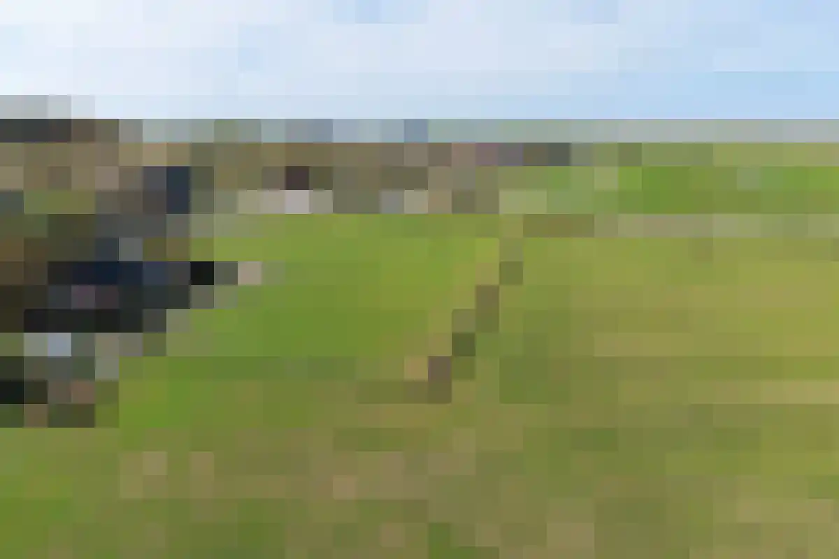 Munnikenweg 13 Schoorl thumbnail 52