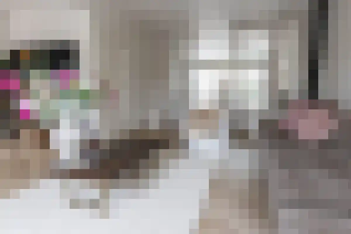Munnikenweg 13 Schoorl thumbnail 8