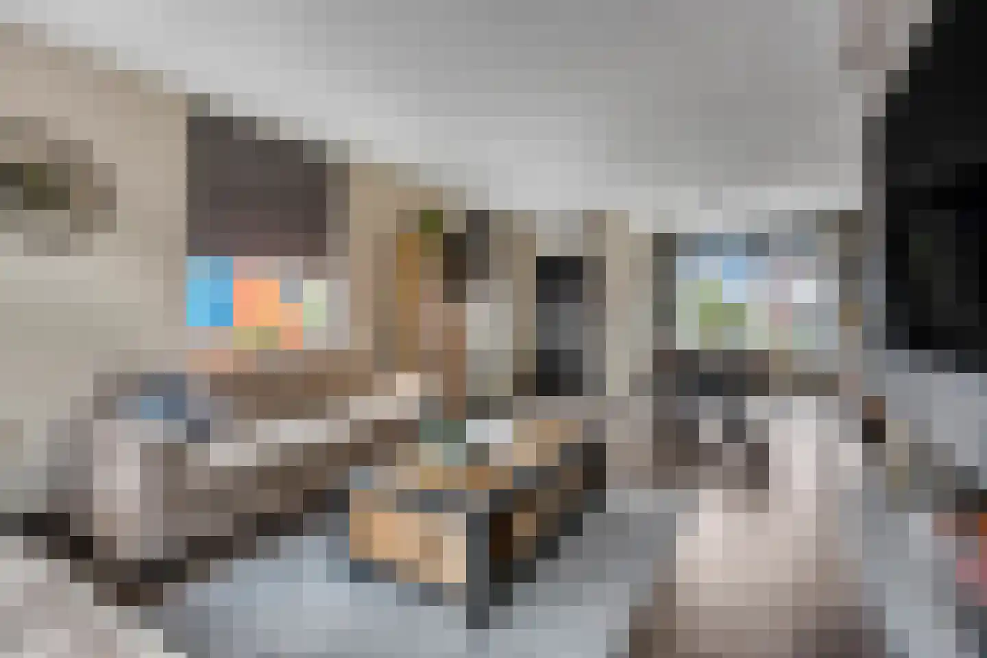 Munnikenweg 2 Veenendaal thumbnail 10