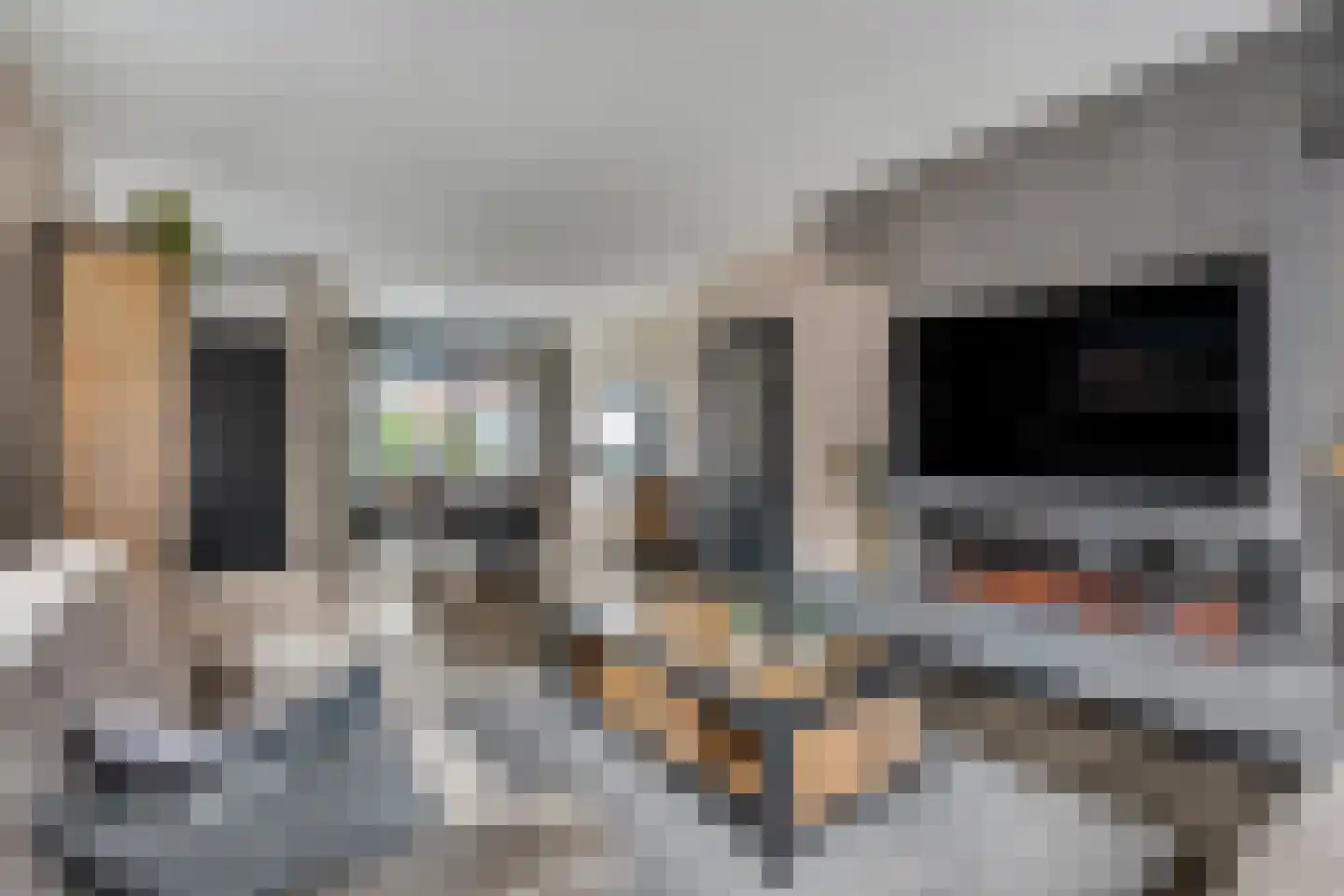 Munnikenweg 2 Veenendaal thumbnail 11