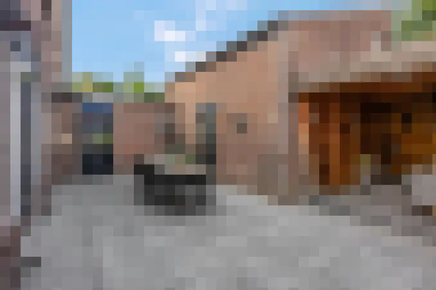 Munnikenweg 2 Veenendaal thumbnail 37