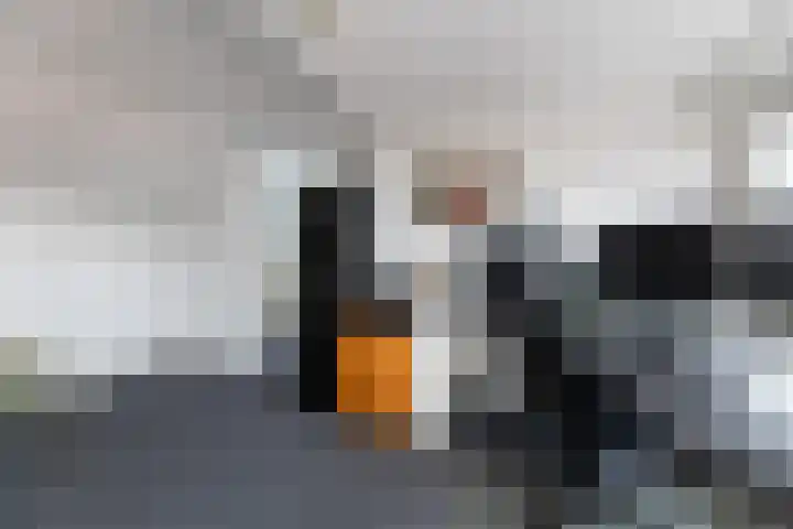 Munnikenweg 21 't Harde thumbnail 26