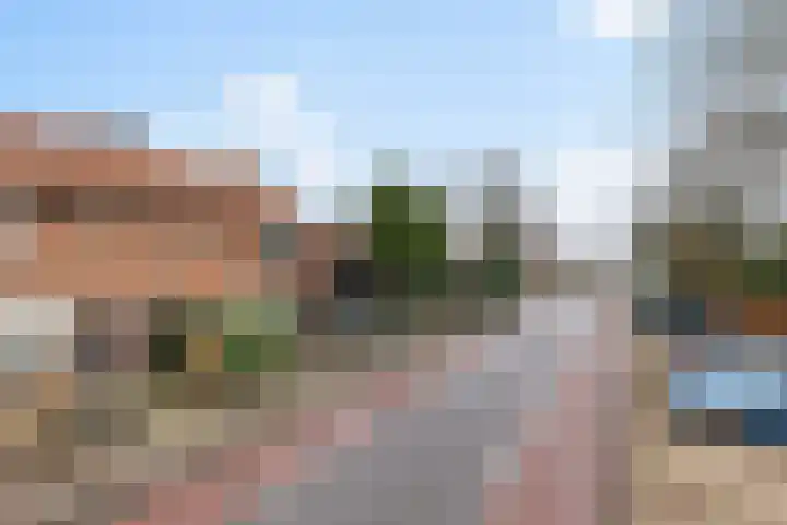 Munnikenweg 21 't Harde thumbnail 5