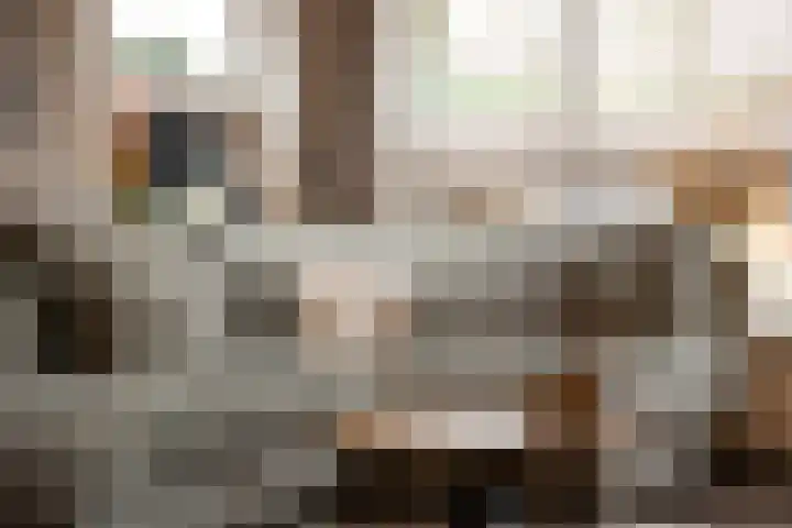 Munnikenweg 21 't Harde thumbnail 9