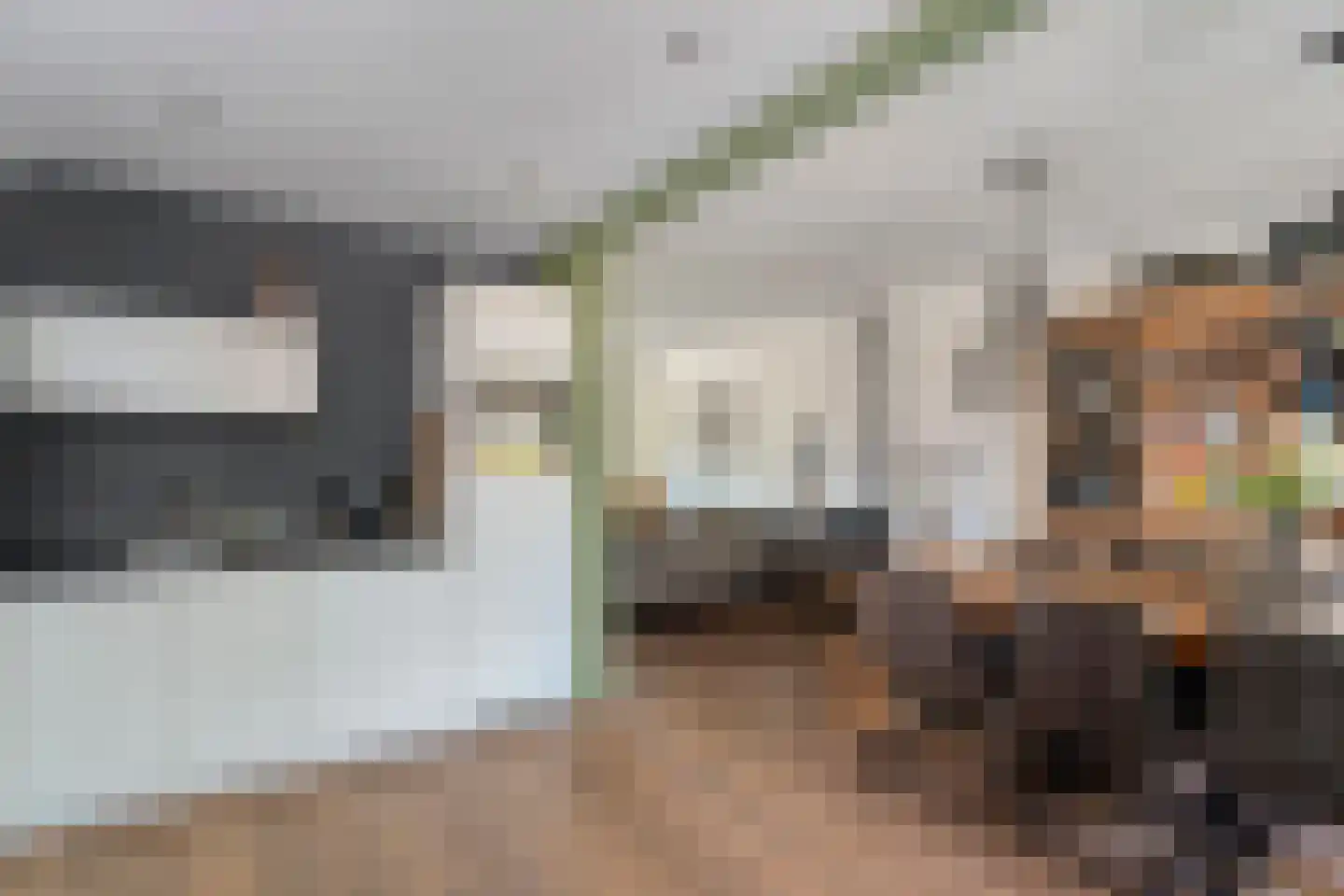 Munnikenweg 22 't Harde thumbnail 4