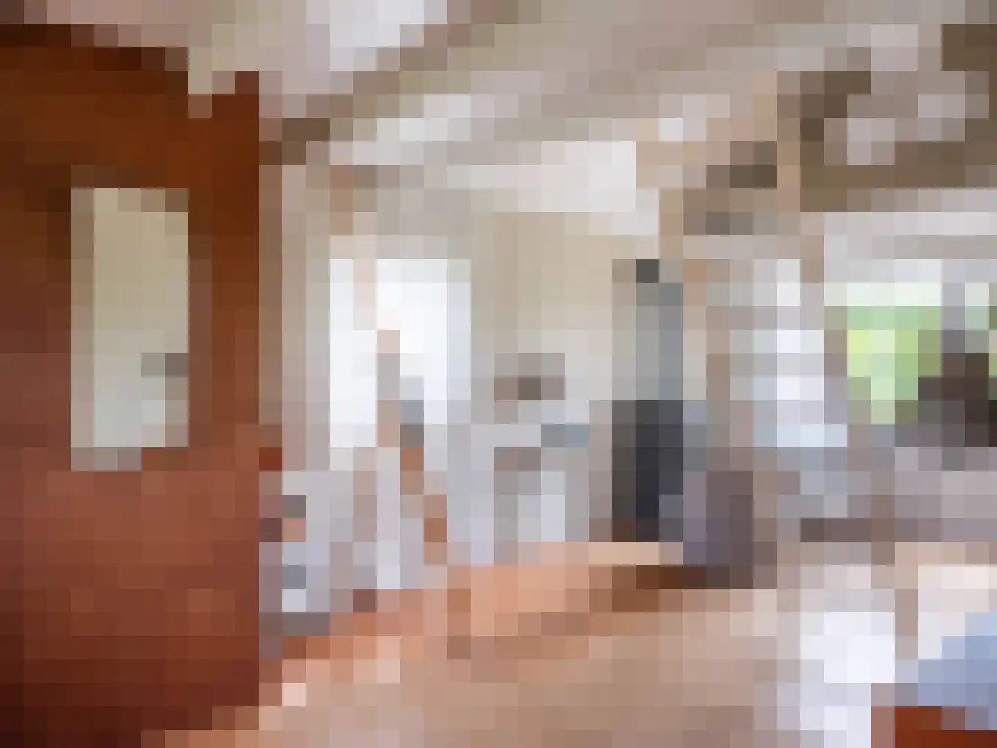 Munnikenweg 25 Schoorl thumbnail 12