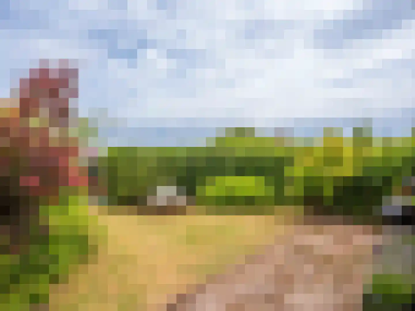 Munnikenweg 25 Schoorl thumbnail 32