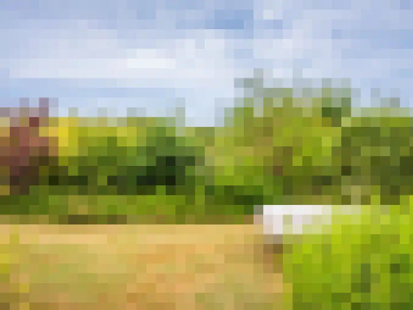 Munnikenweg 25 Schoorl thumbnail 37