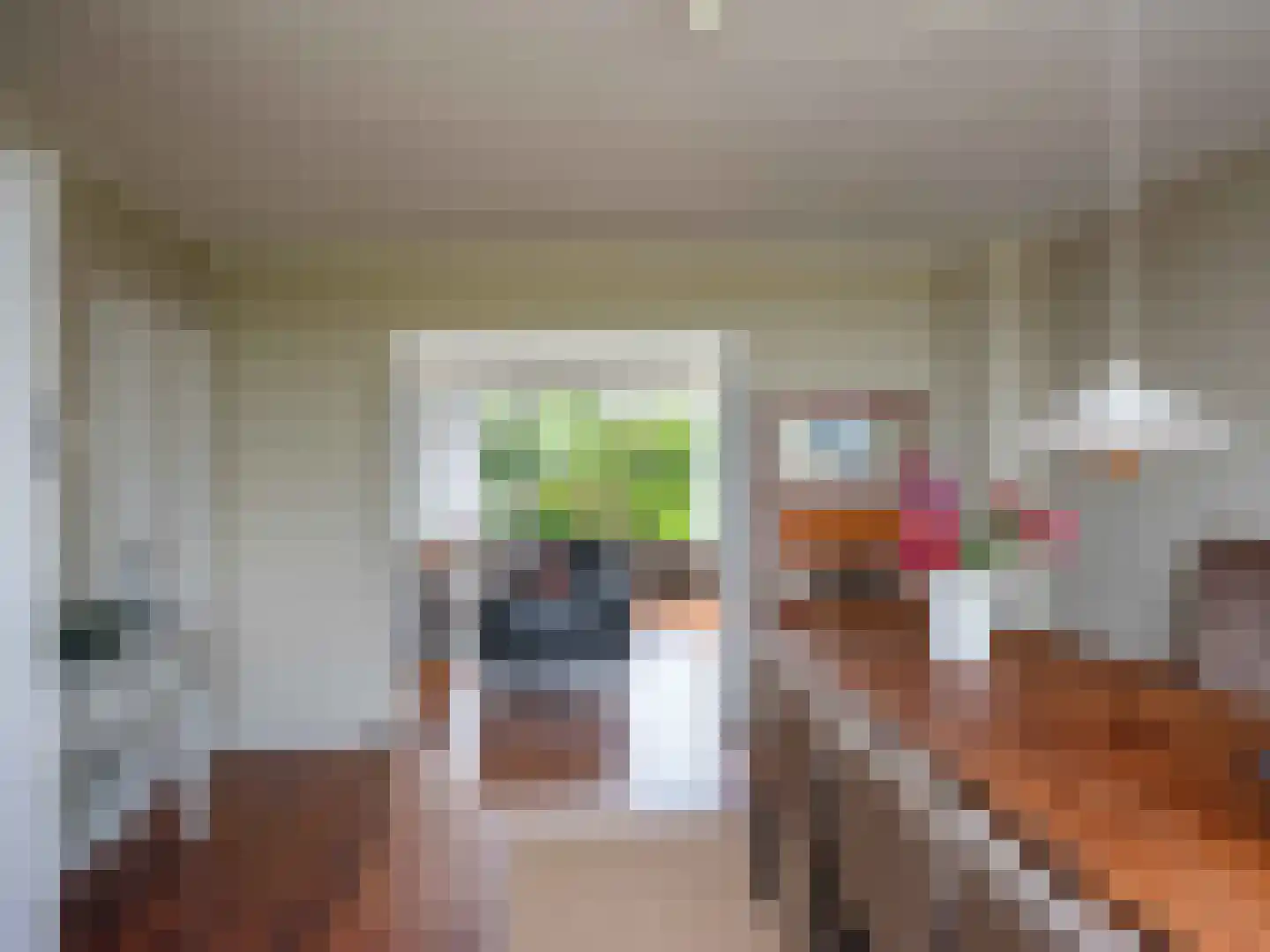 Munnikenweg 25 Schoorl thumbnail 5