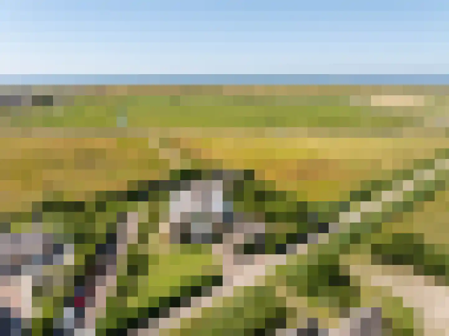 Munnikenweg 25 Schoorl thumbnail 50