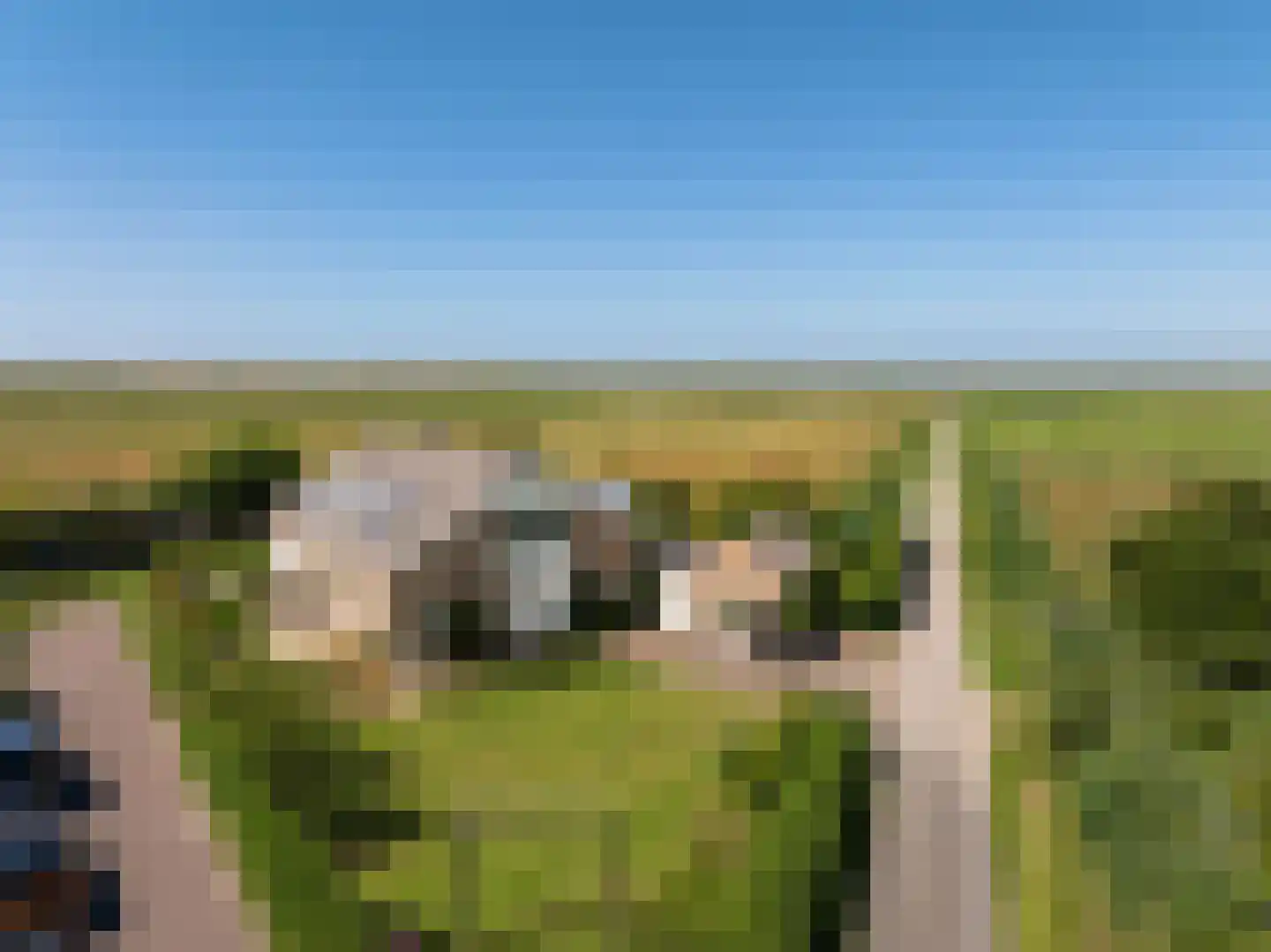 Munnikenweg 25 Schoorl thumbnail 51