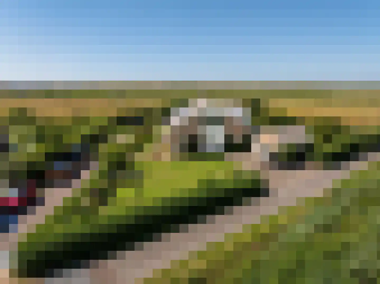Munnikenweg 25 Schoorl thumbnail 52
