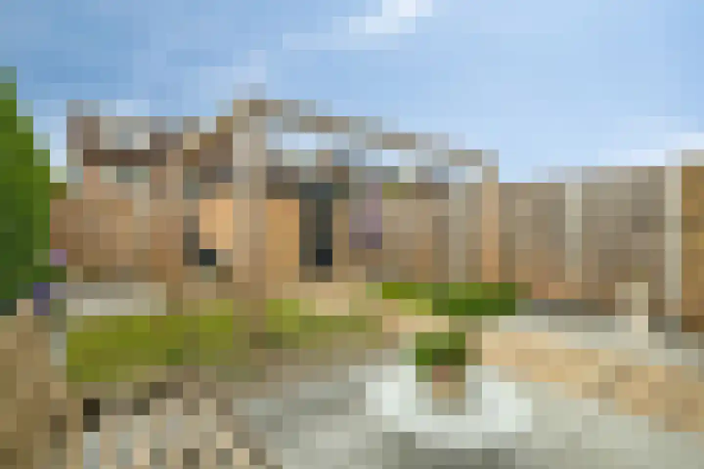 Munnikenweg 36 't Harde thumbnail 39