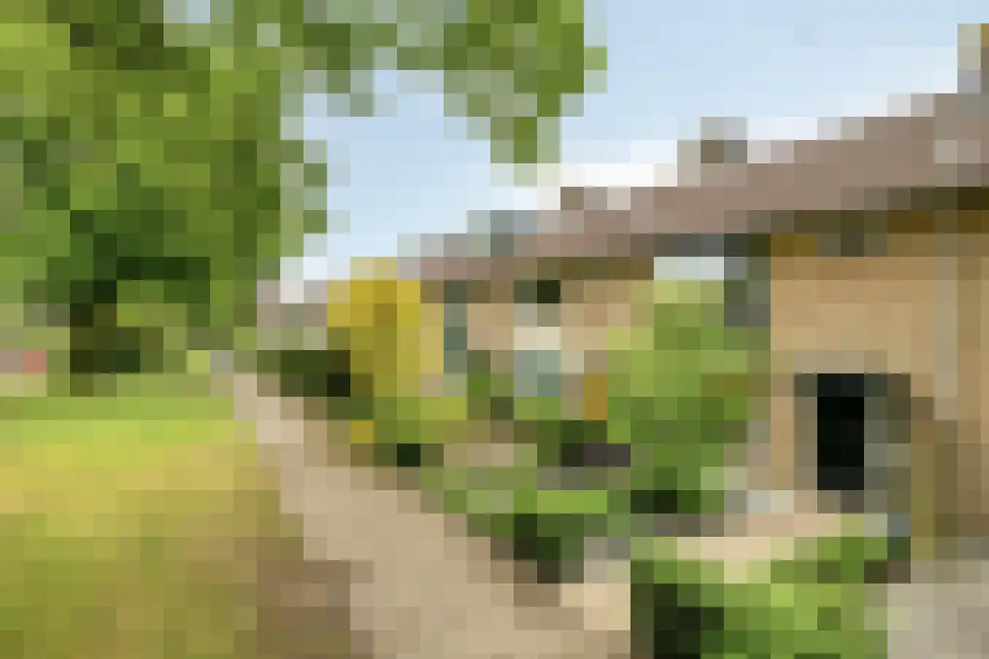 Munnikenweg 36 't Harde thumbnail 7