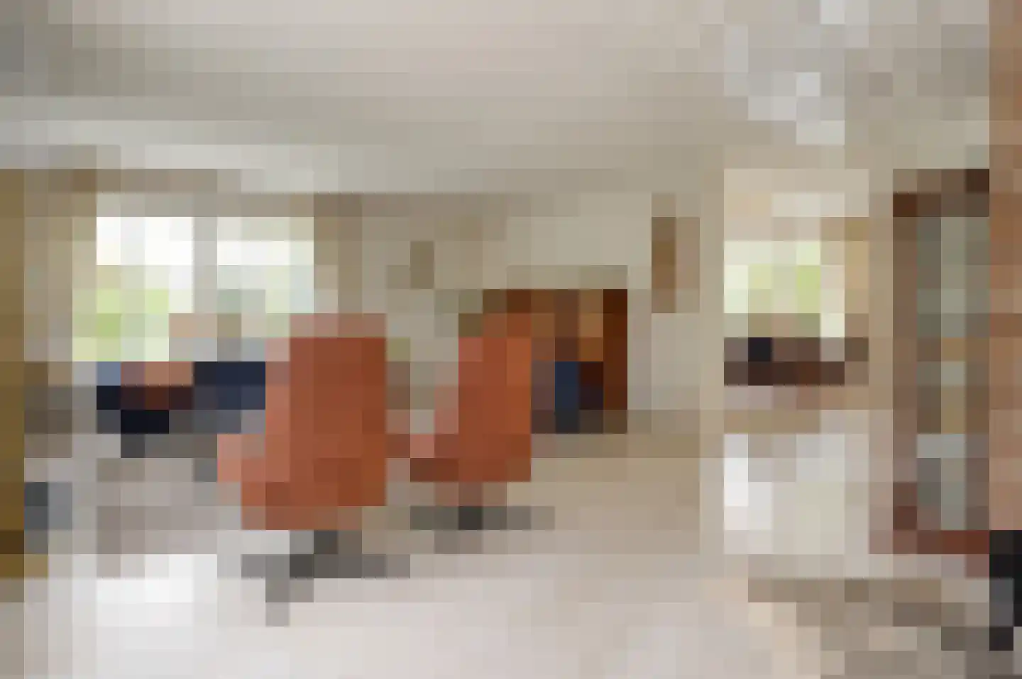 Munnikenweg 66 Veenendaal thumbnail 4