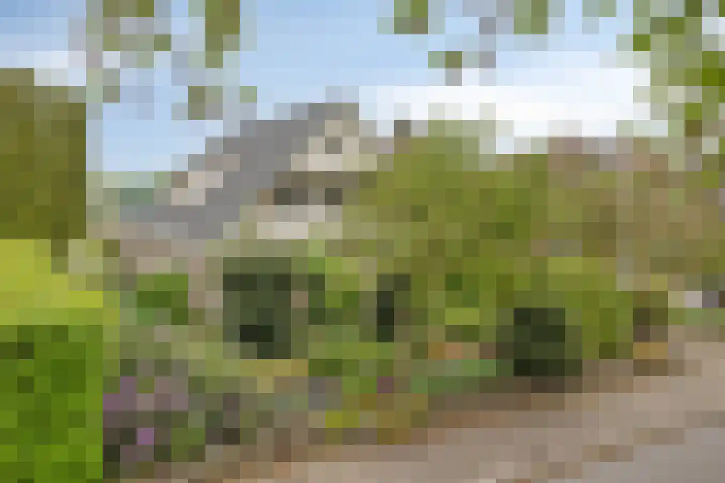 Munnikenweg 66 Veenendaal thumbnail 6