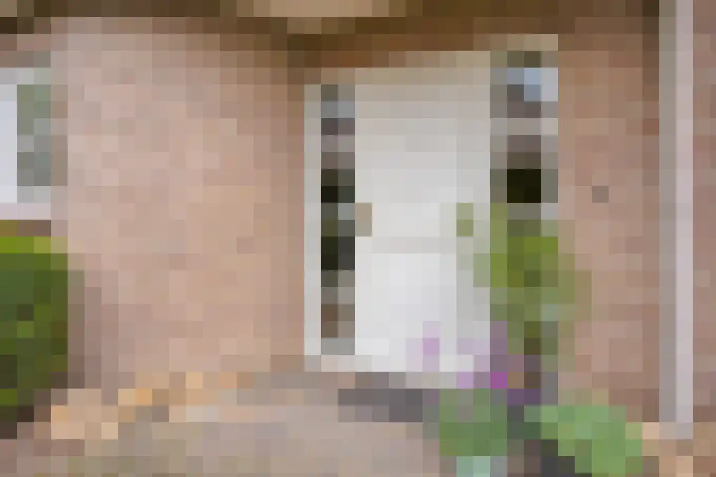 Munnikenweg 66 Veenendaal thumbnail 7