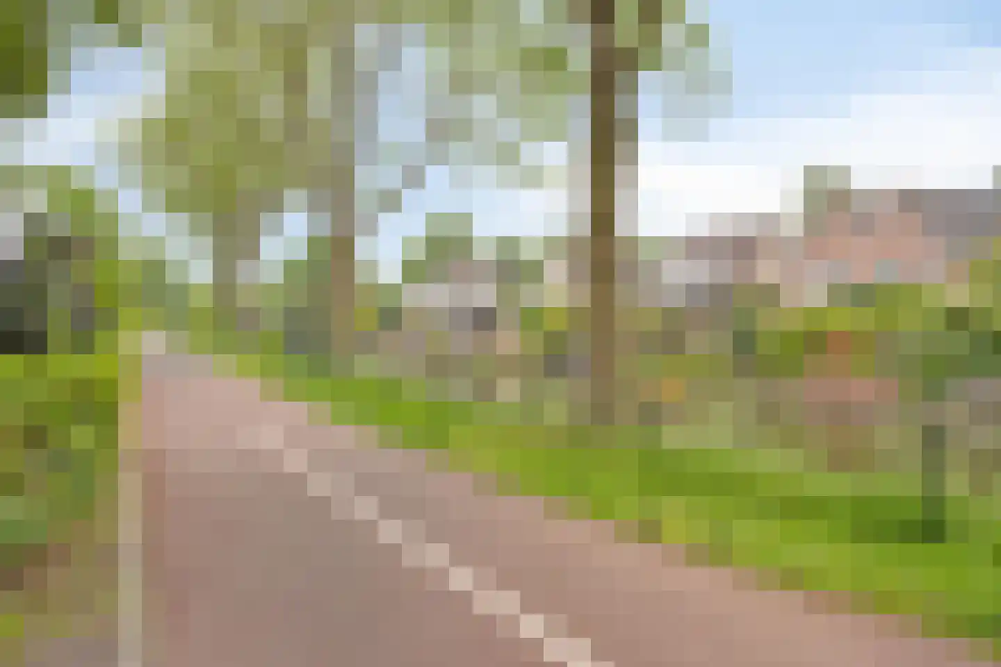 Munnikenweg 66 Veenendaal thumbnail 76