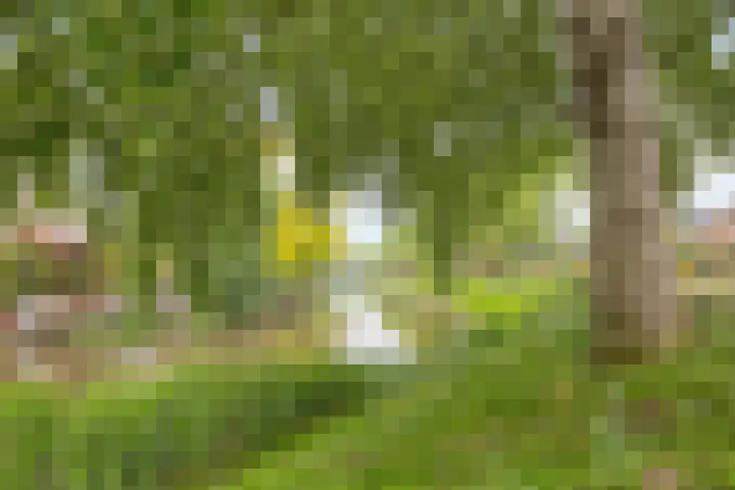 Munnikenweg 66 Veenendaal thumbnail 77