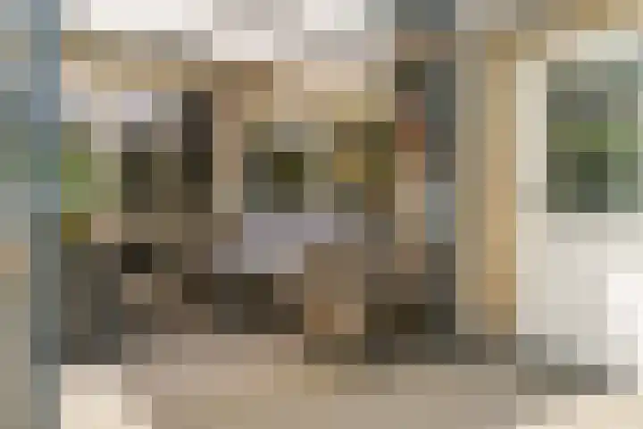 Munnikenweg 79 't Harde thumbnail 31