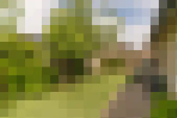 Munnikenweg 79 't Harde thumbnail 33
