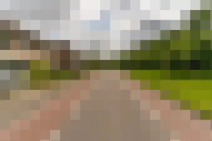 Munnikenweg 79 't Harde thumbnail 37