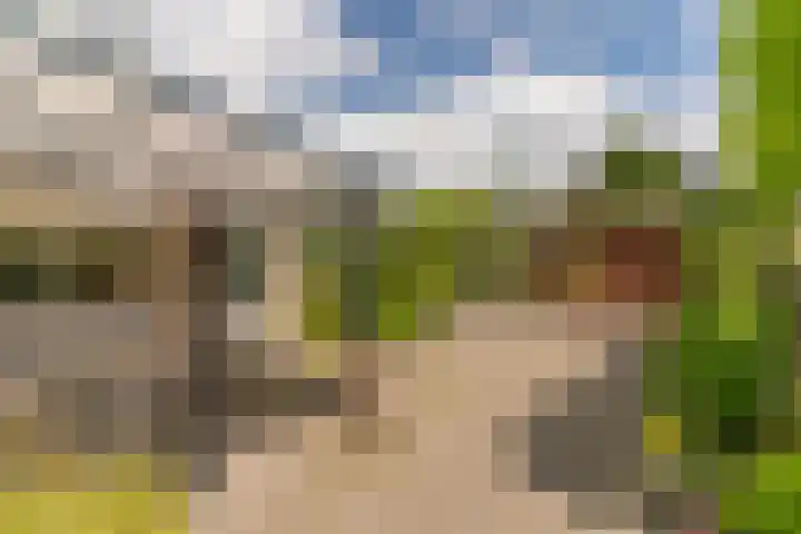 Munnikenweg 79 't Harde thumbnail 4
