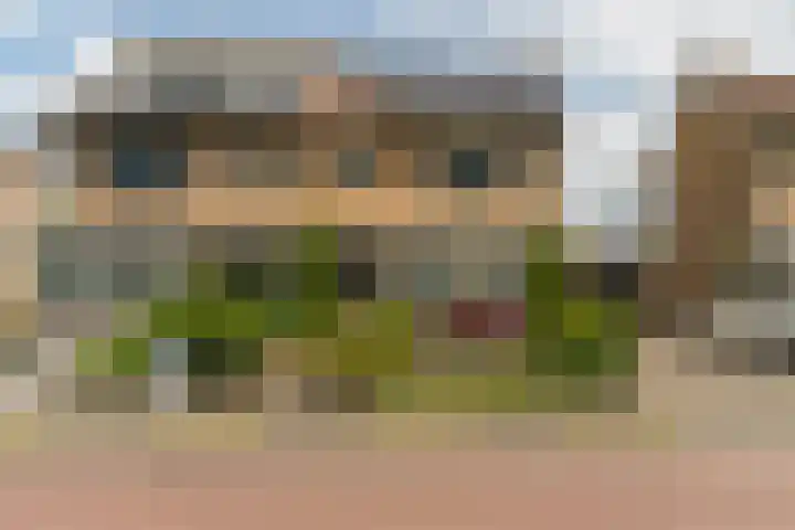 Munnikenweg 79 't Harde thumbnail 5