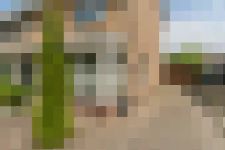 Munnikenweg 79 't Harde thumbnail 7