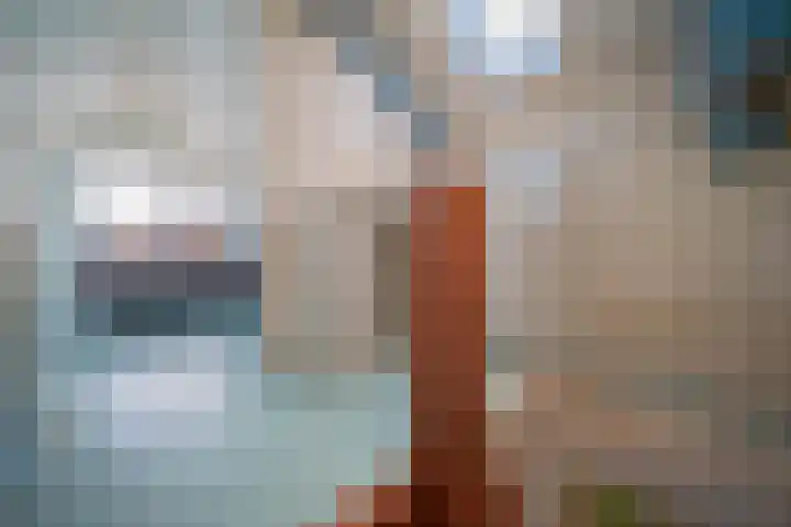 Munnikenweide 1 Beverwijk thumbnail 24