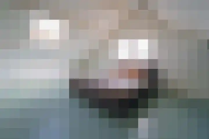 Munnikenweide 1 Beverwijk thumbnail 25