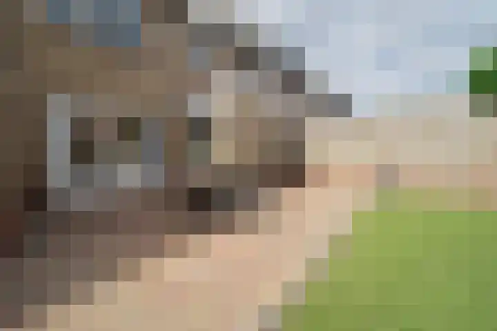 Munnikenweide 1 Beverwijk thumbnail 28