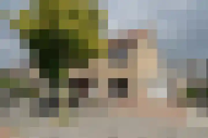 Munnikenweide 1 Beverwijk thumbnail 33