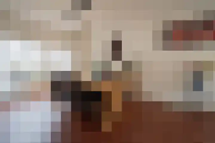 Munnikenweide 1 Beverwijk thumbnail 5
