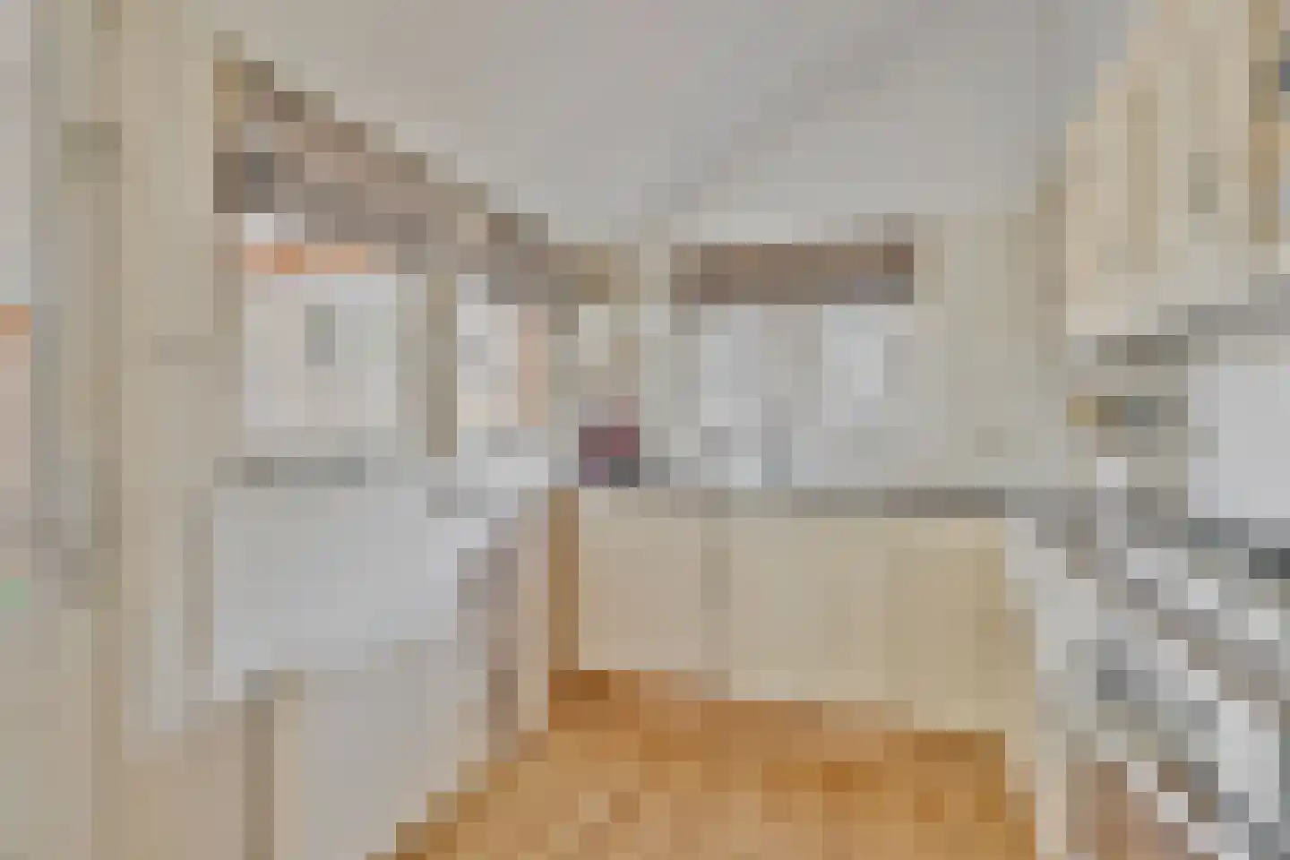 Munnikenweide 55 Beverwijk thumbnail 11