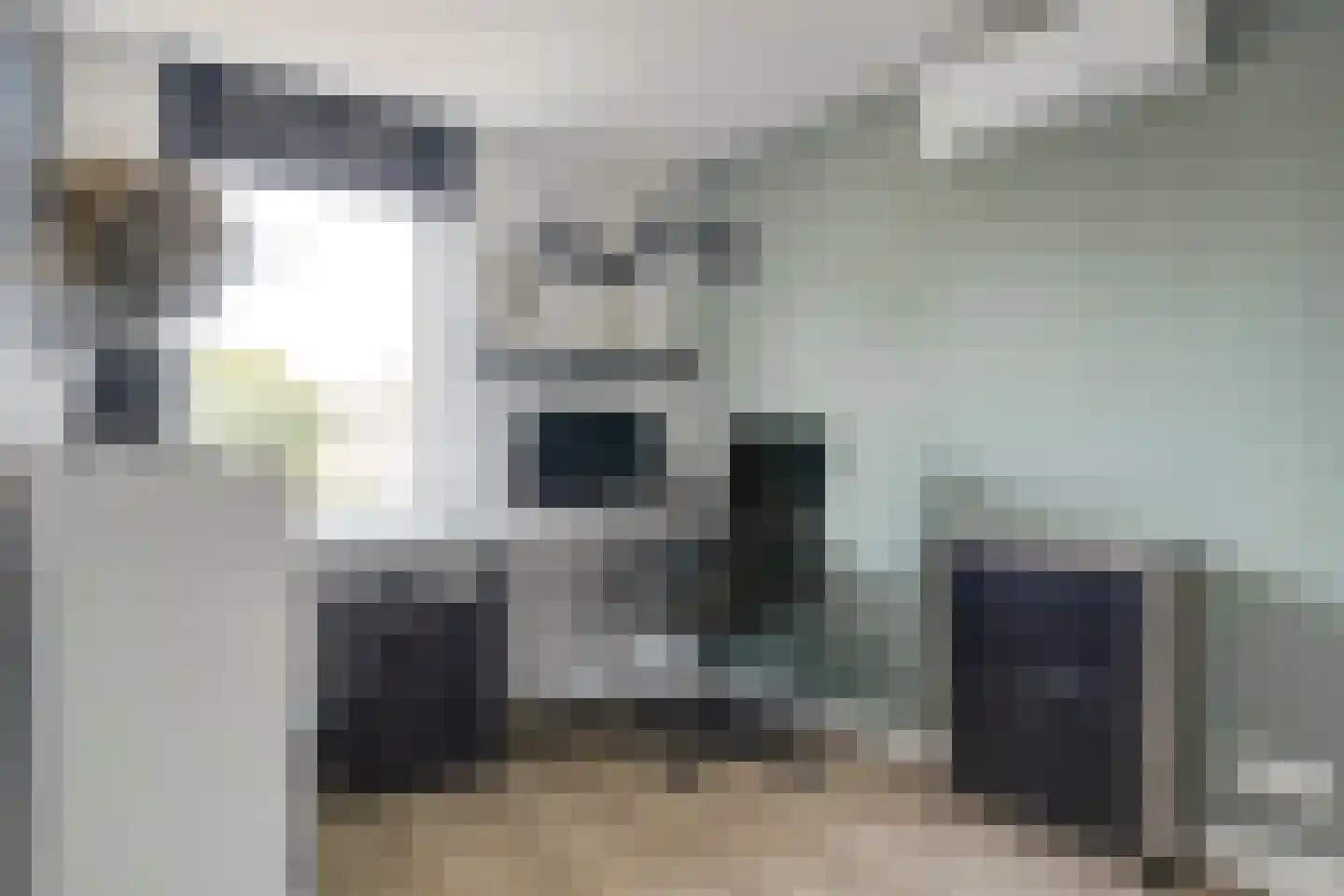 Munnikenwoud 26 Zwaag thumbnail 18