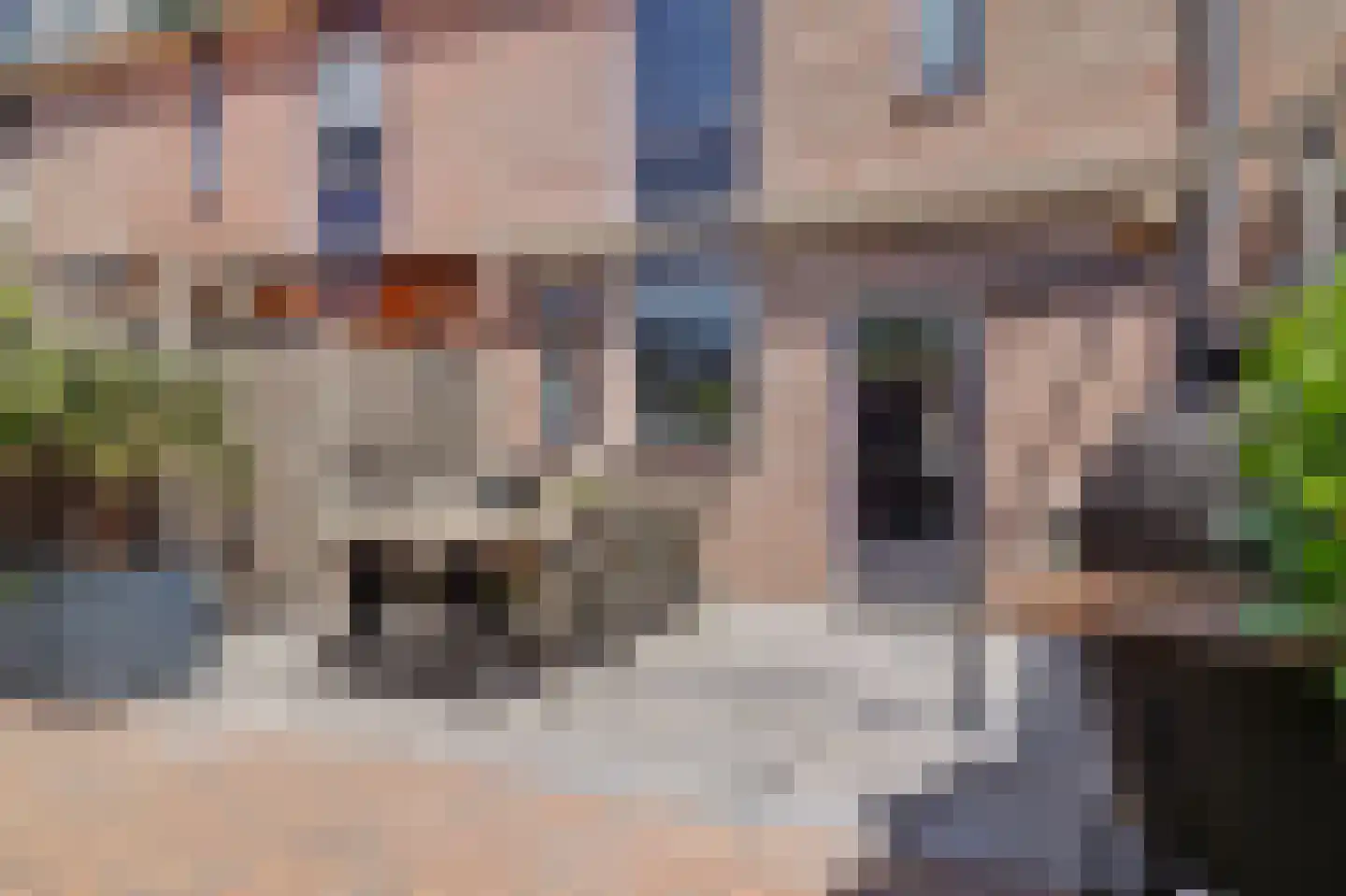 Munnikenwoud 26 Zwaag thumbnail 29