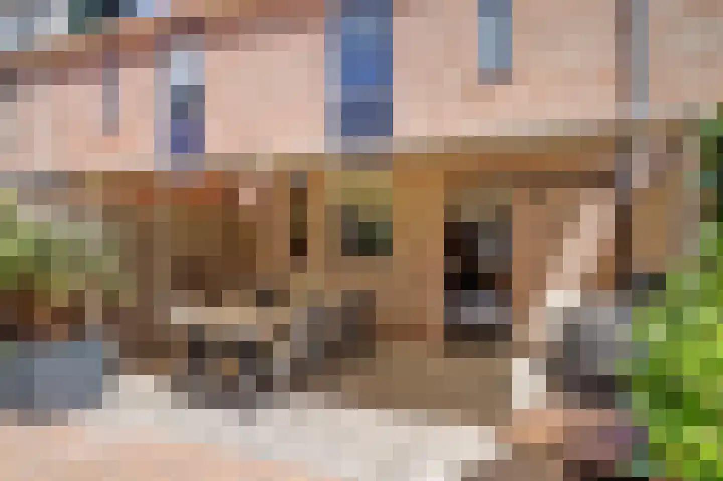 Munnikenwoud 26 Zwaag thumbnail 30