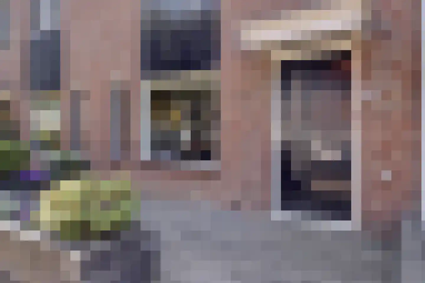 Munnikenwoud 26 Zwaag thumbnail 5