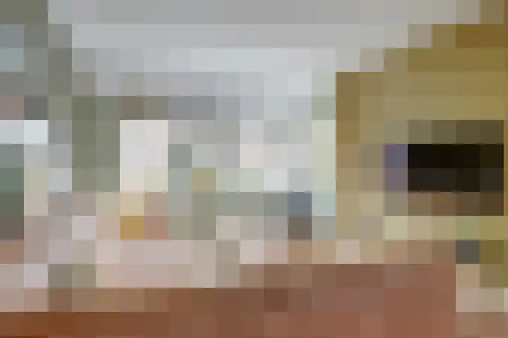 Munnikenwoud 34 Zwaag thumbnail 11