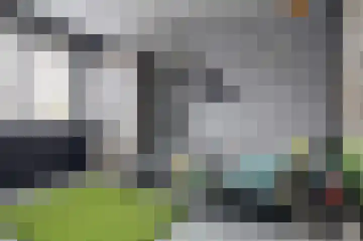 Munnikenwoud 34 Zwaag thumbnail 23