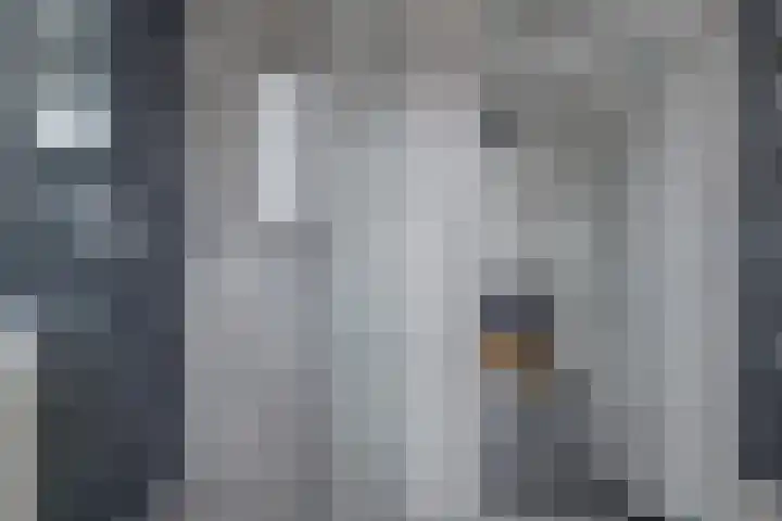 Munnikenwoud 34 Zwaag thumbnail 28
