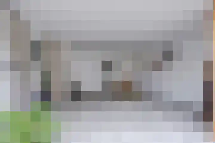 Munnikenwoud 34 Zwaag thumbnail 41