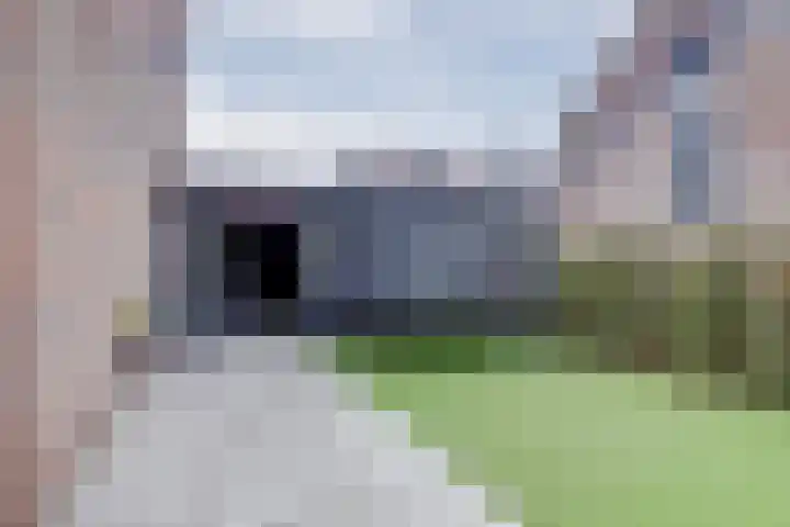 Munnikenwoud 34 Zwaag thumbnail 45