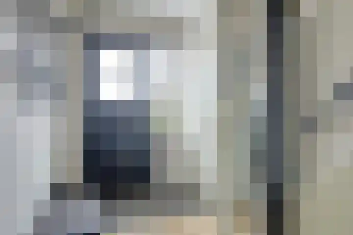 Munnikenwoud 34 Zwaag thumbnail 8