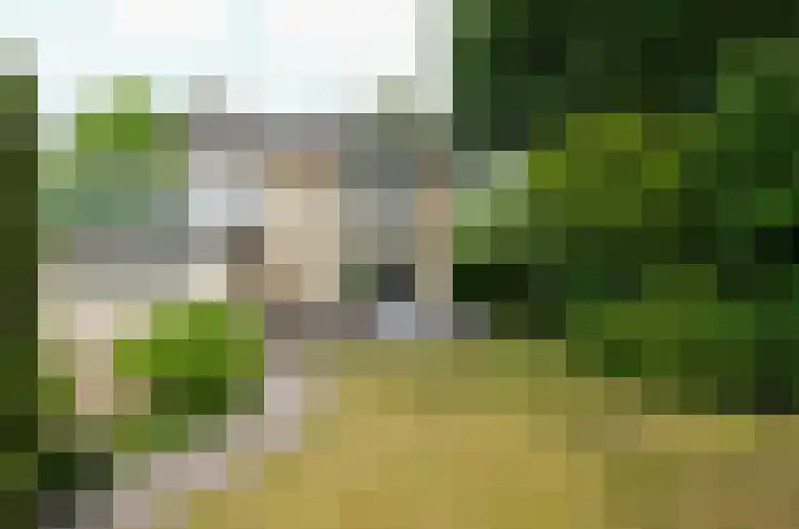 Munnikestraat 18 Surhuisterveen thumbnail 33